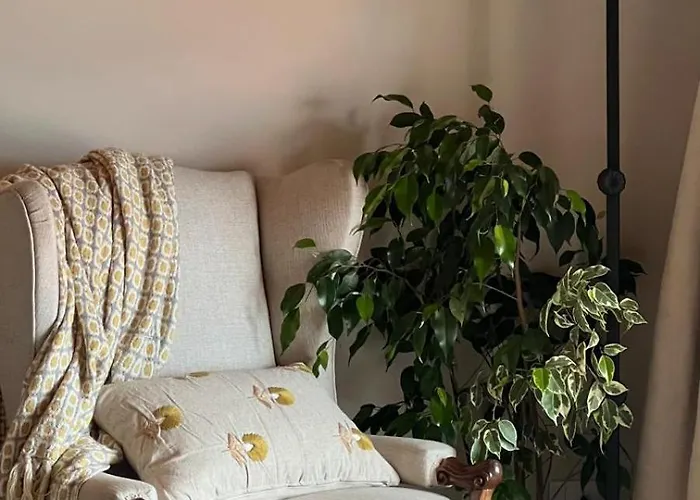 Lakeview Jonny House On The Roofs * לצנו