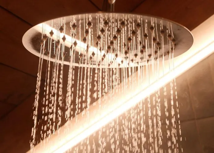 Lakeview Jonny House On The Roofs